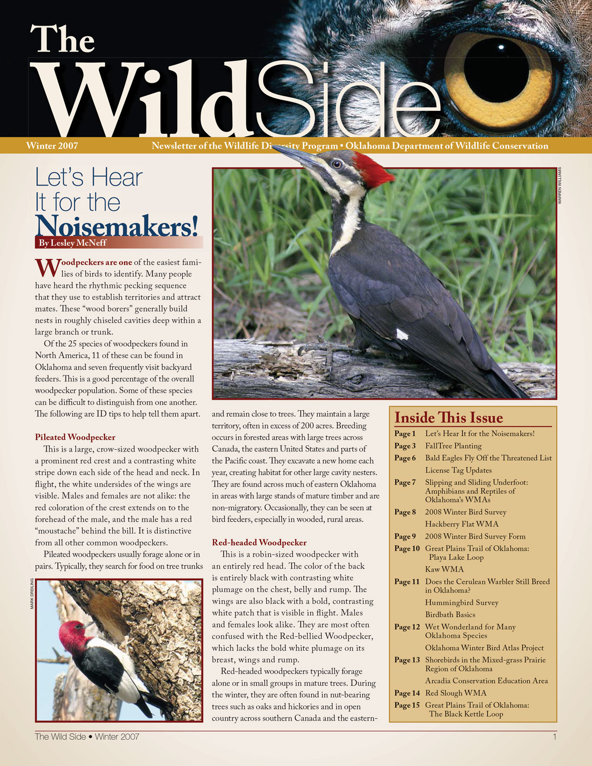 Oklahoma Department of Wildlife Conservation Wild Side newsletter